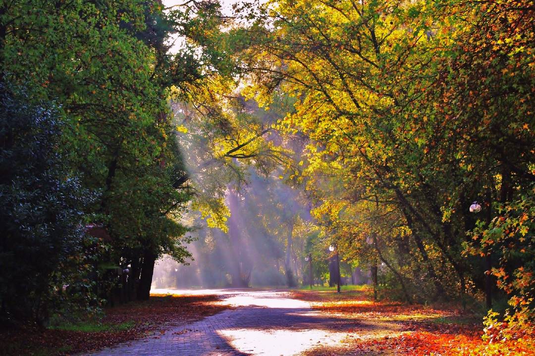 Hikaye detayları...